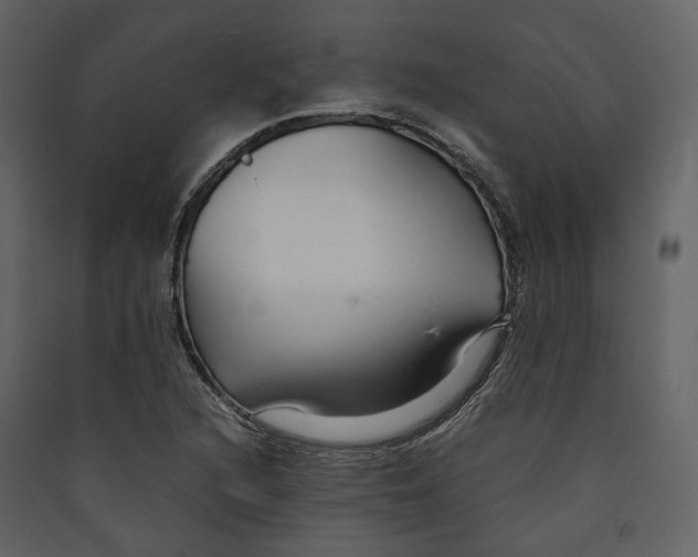 X0000089411216200707131753