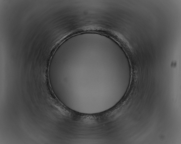X0000089411217200707131753