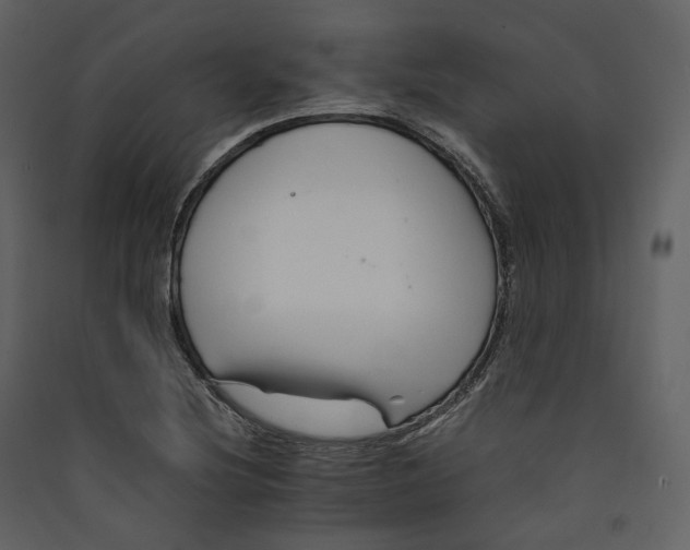 X0000089411220200707131753