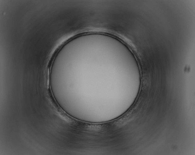 X0000089411223200707131754