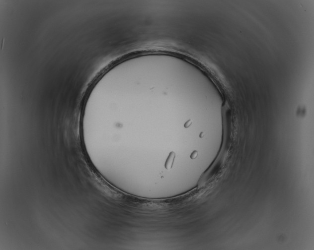 X0000089411224200707131754