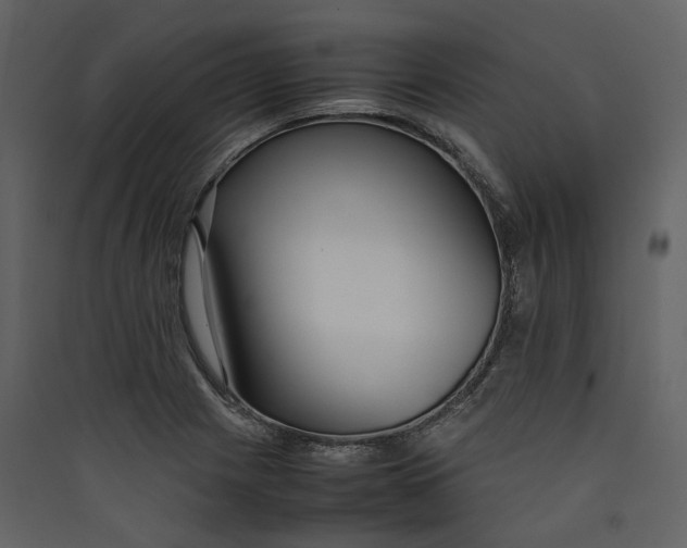 X0000089411225200707131754