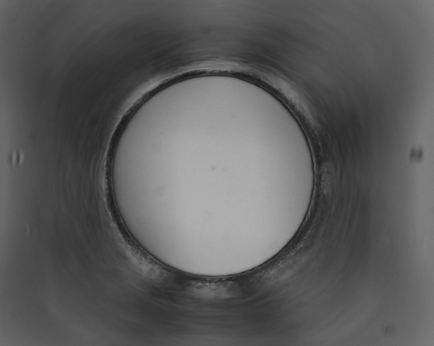 X0000089411229200707131754