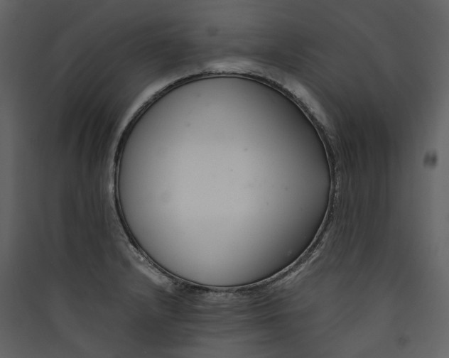 X0000089411232200707131754
