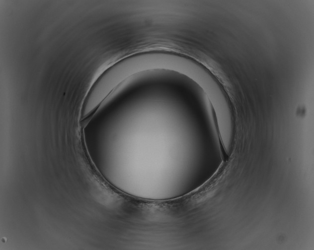 X0000089411234200707131754