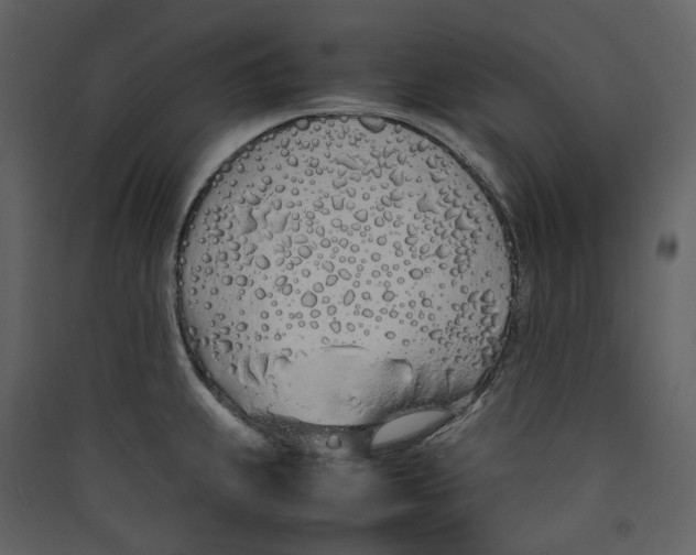 X0000089411239200707131754