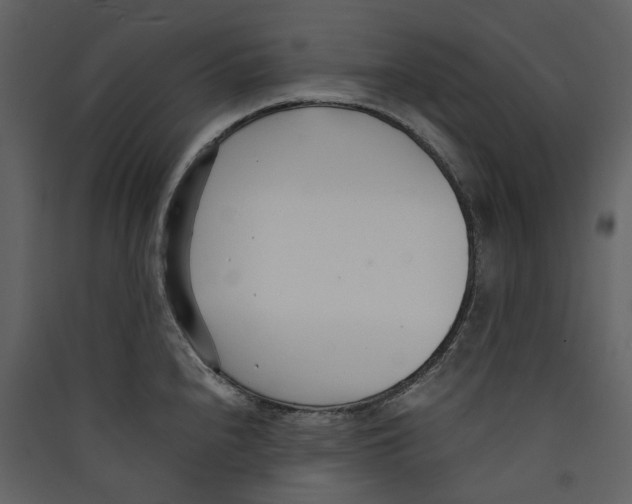X0000089411240200707131754