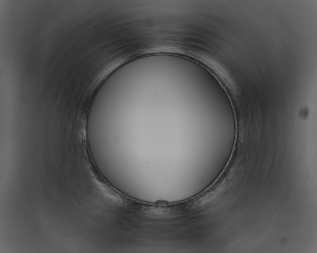X0000089411241200707131754