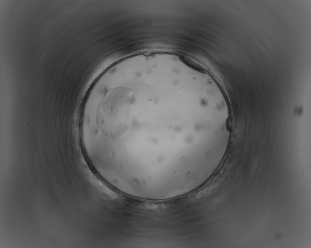 X0000089411243200707131754