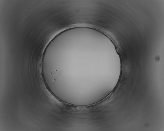 X0000089411244200707131754