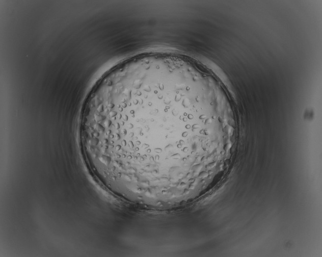 X0000089411245200707131754