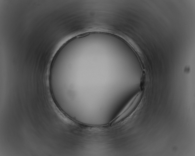 X0000089411246200707131754