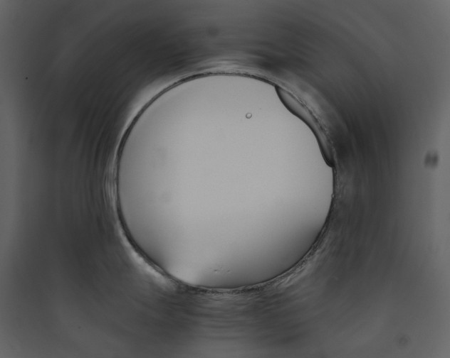 X0000089411247200707131754