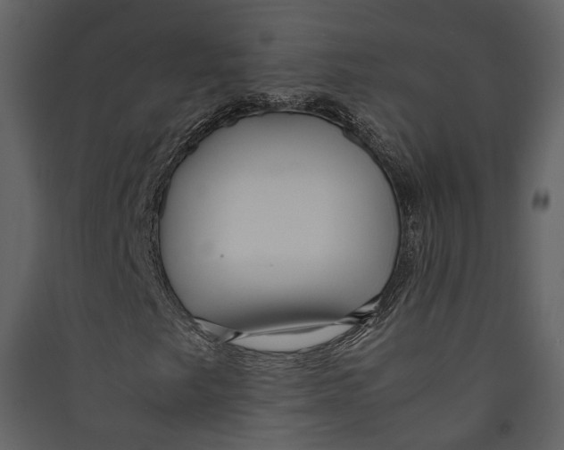 X0000089411249200707131753