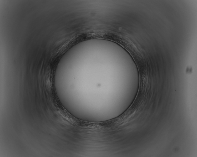 X0000089411250200707131753
