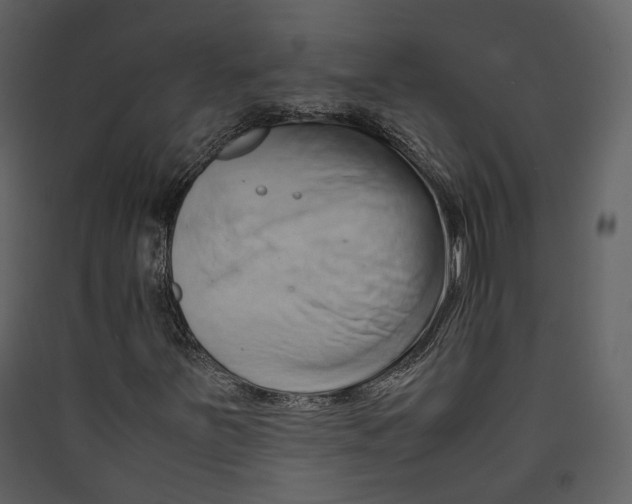 X0000089411251200707131753
