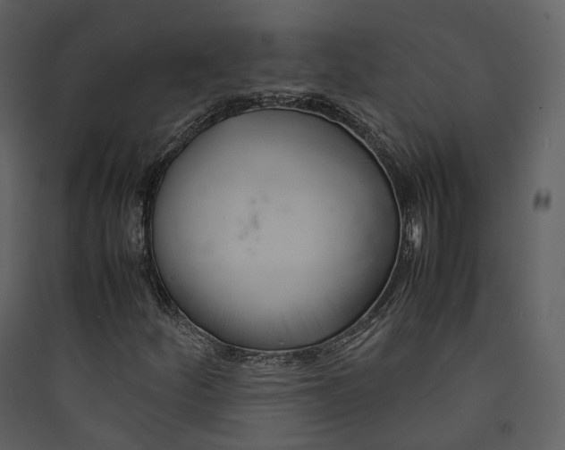 X0000089411252200707131753