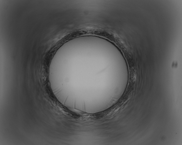 X0000089411253200707131753