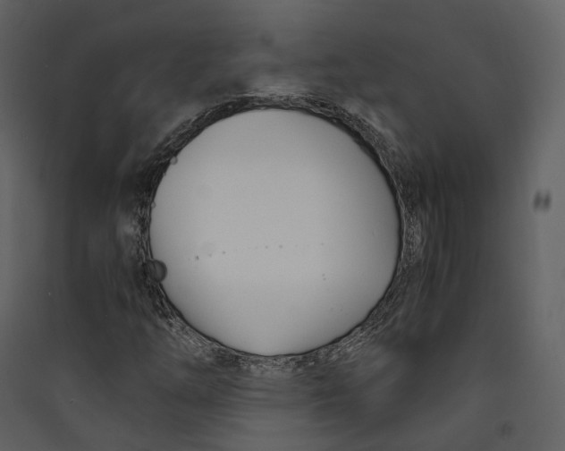 X0000089411254200707131753