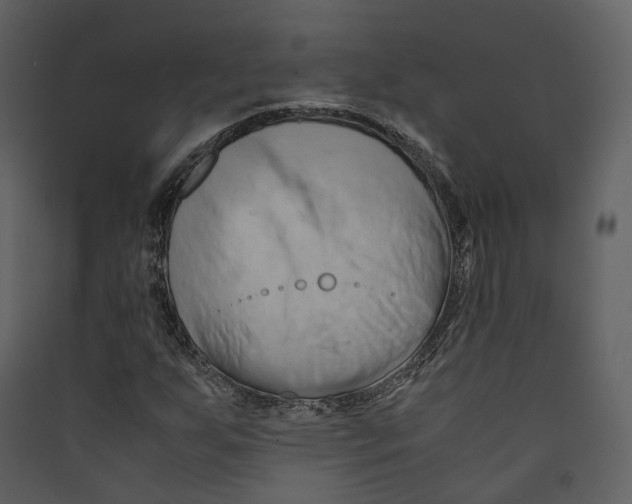 X0000089411255200707131753