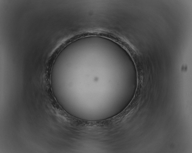X0000089411256200707131753