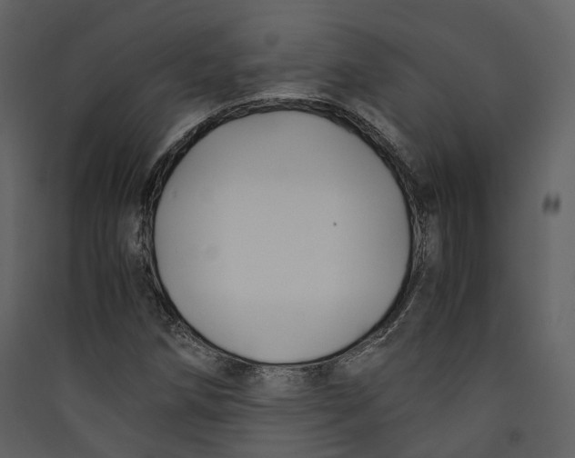 X0000089411258200707131753