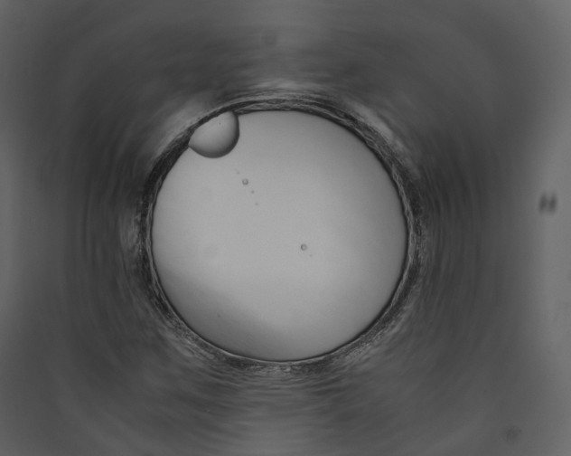 X0000089411259200707131753