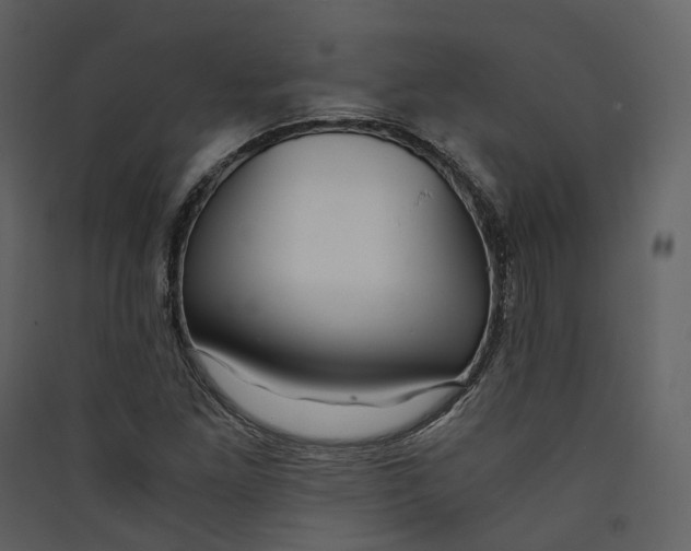 X0000089411261200707131753