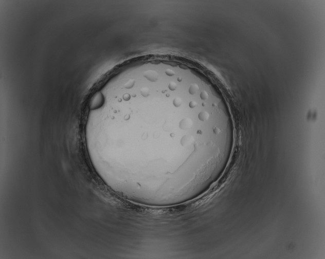 X0000089411263200707131753