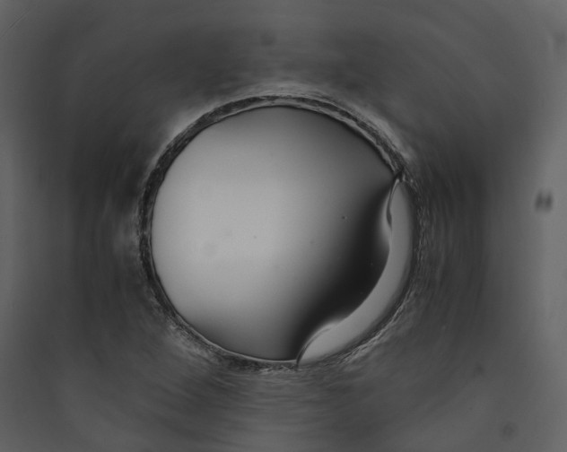 X0000089411264200707131753
