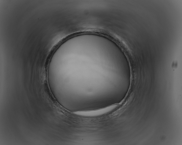 X0000089411267200707131753