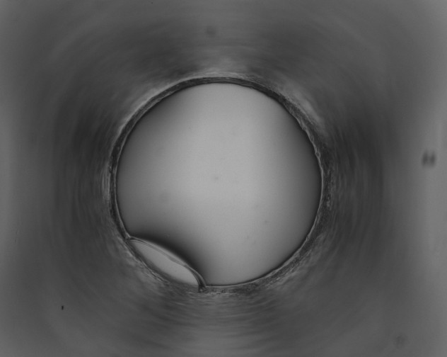 X0000089411268200707131753