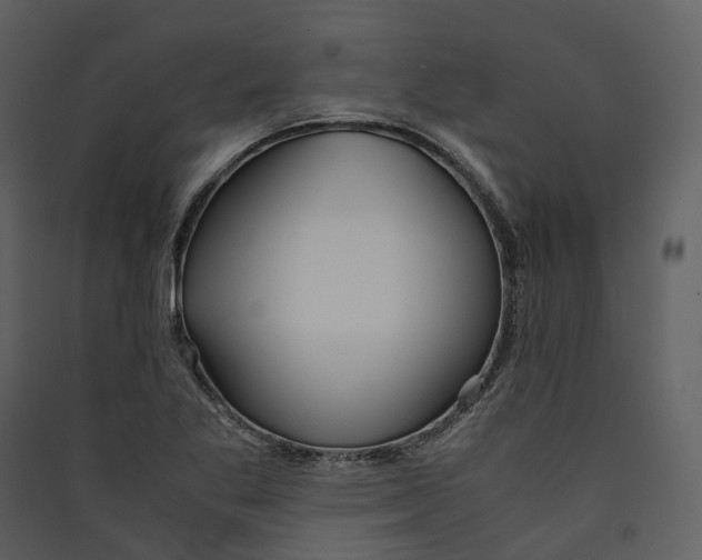 X0000089411269200707131753