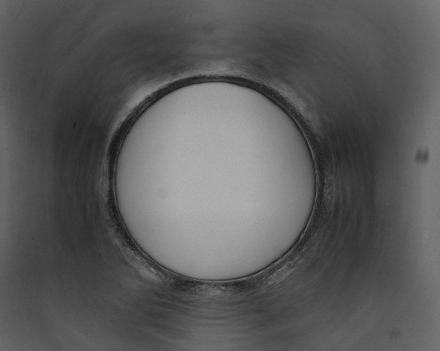 X0000089411270200707131753