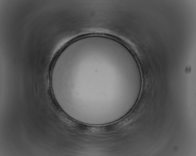 X0000089411271200707131753