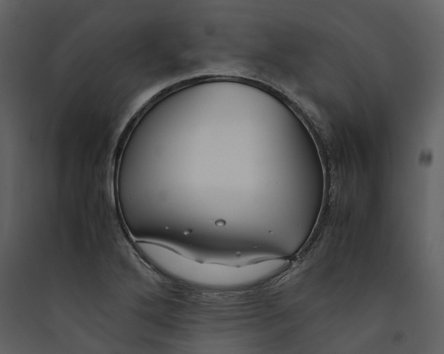 X0000089411272200707131753