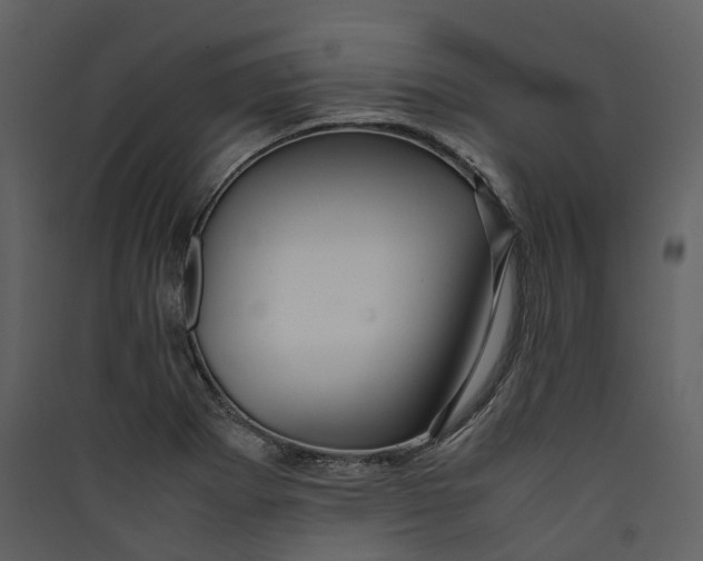 X0000089411273200707131753