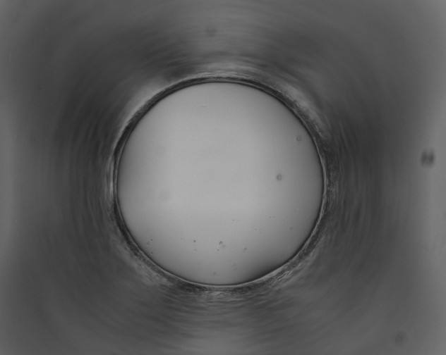 X0000089411275200707131753
