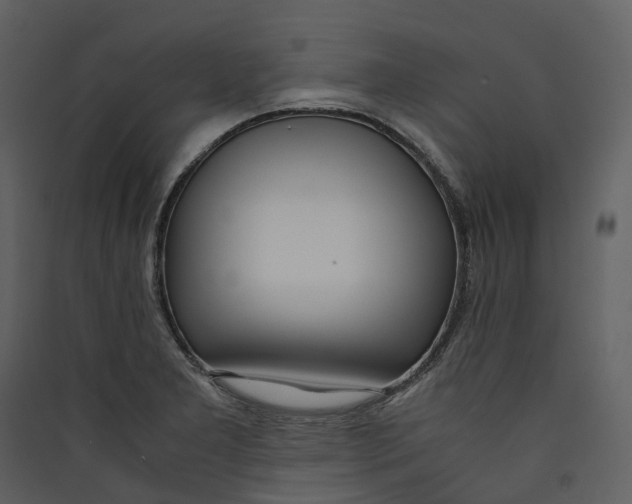 X0000089411277200707131753