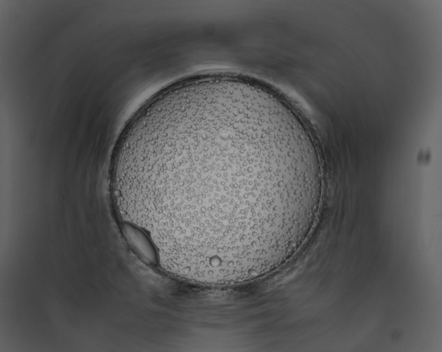X0000089411279200707131753