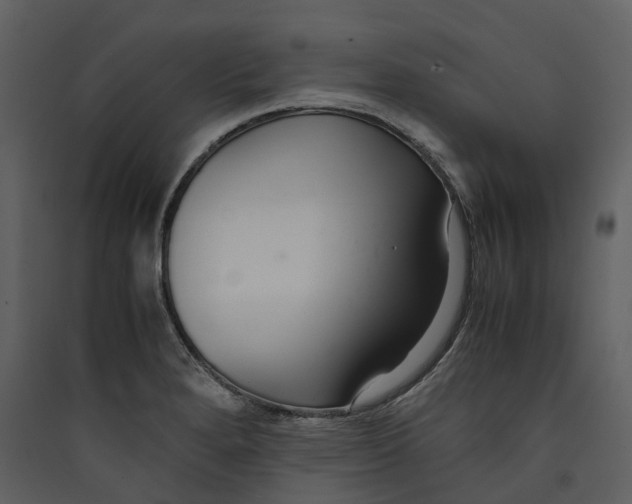 X0000089411280200707131753