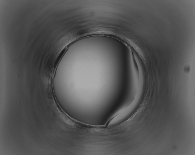 X0000089411281200707131753