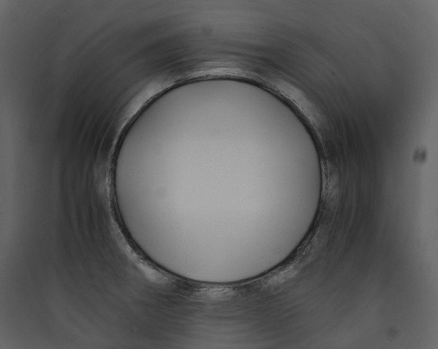 X0000089411282200707131753