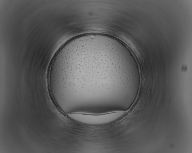 X0000089411283200707131753