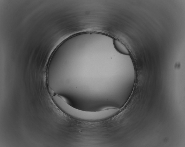 X0000089411284200707131753