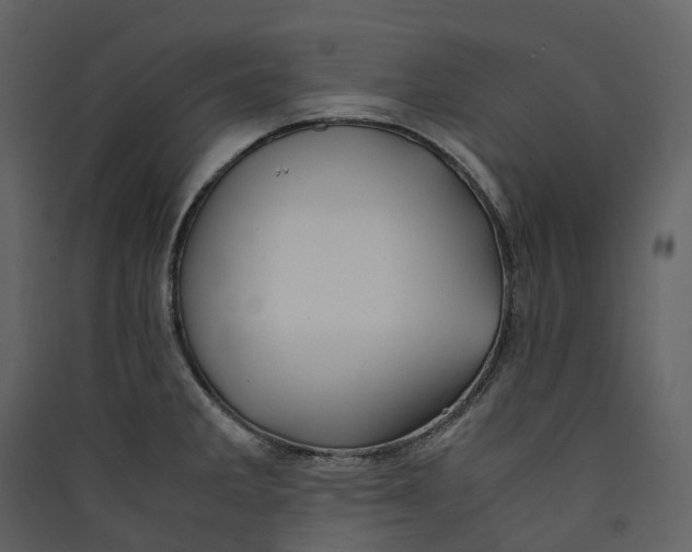 X0000089411285200707131753