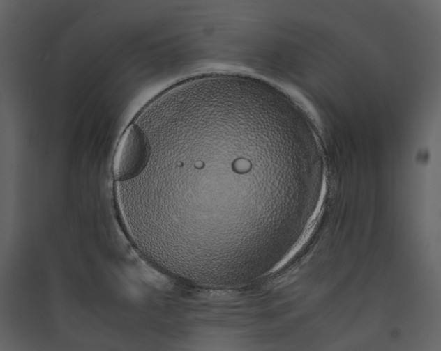 X0000089411287200707131753