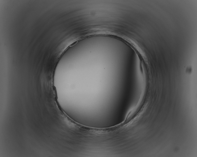 X0000089411289200707131753