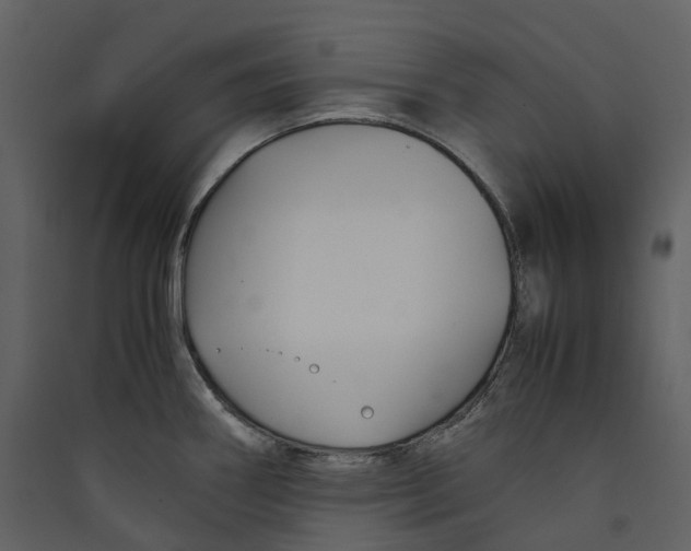 X0000089411290200707131753