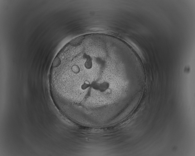 X0000089411291200707131753